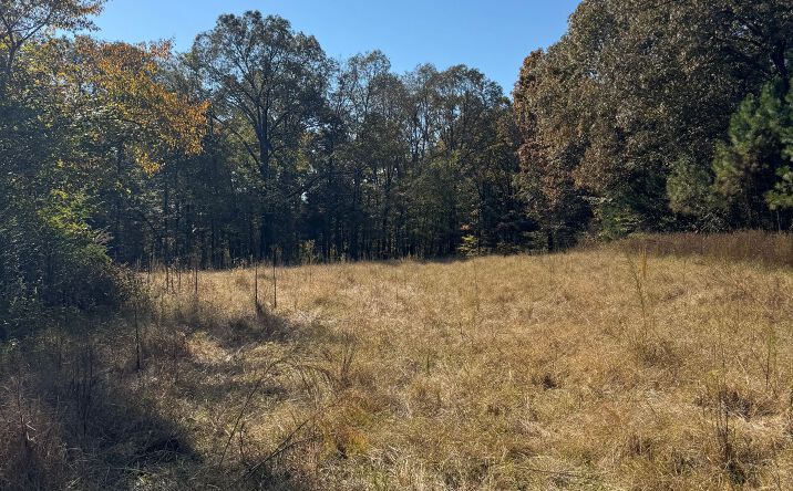 Pictures of Land property located at 300 Acres Bass Estate Property, Whiteville, TN 38075 for sales - image #1