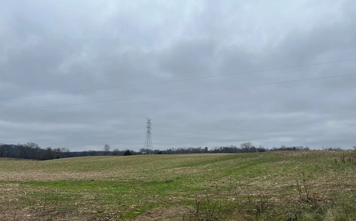 Pictures of Land property located at 332 L W Neal Rd, Hardyville, KY 42746 for sales - image #1