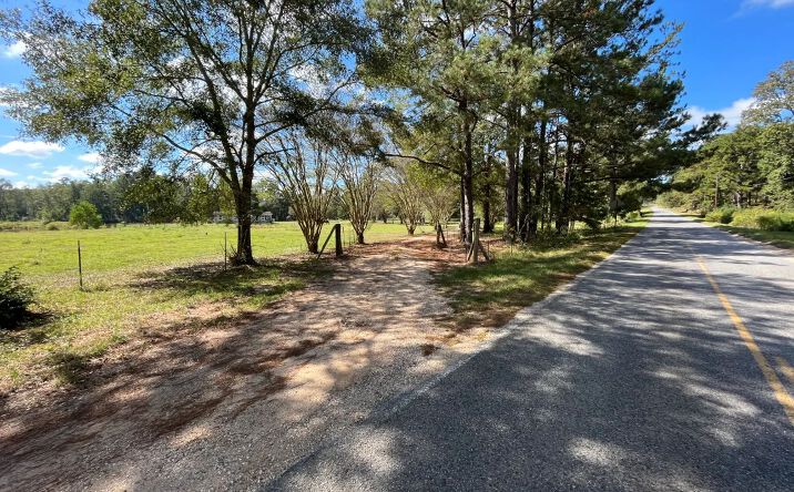 Pictures of Land property located at TBD Carter Road, 115872, SC 29569 for sales - image #1