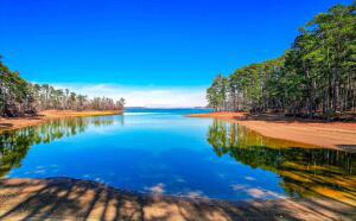 Pictures of Land property located at 435 Abundance Way, Appling, GA 30802 for sales - image #1