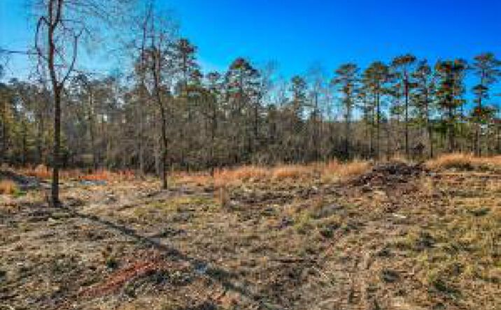 Pictures of Land property located at 440 Abundance Way, Appling, GA 30802 for sales - image #1