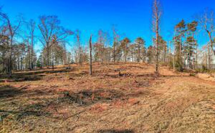Pictures of Land property located at 490 Abundance Way, Appling, GA 30802 for sales - image #1