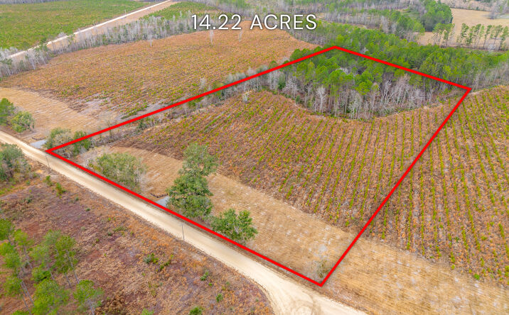 Pictures of Land property located at Bennett Grooms Rd, Brooklet, GA 30415 for sales - image #1