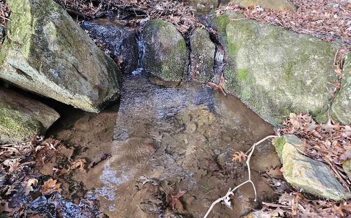 Pictures of Land property located at TBD Excelsior School Rd, Laurel Fork, VA 24352 for sales - image #1