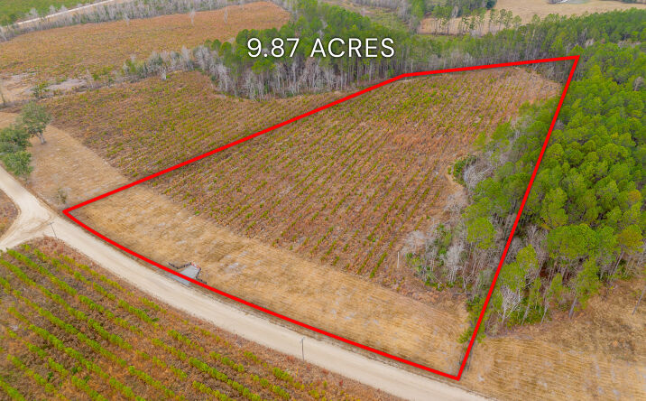 Pictures of Land property located at Lanes Church Rd, Brooklet, GA 30415 for sales - image #1