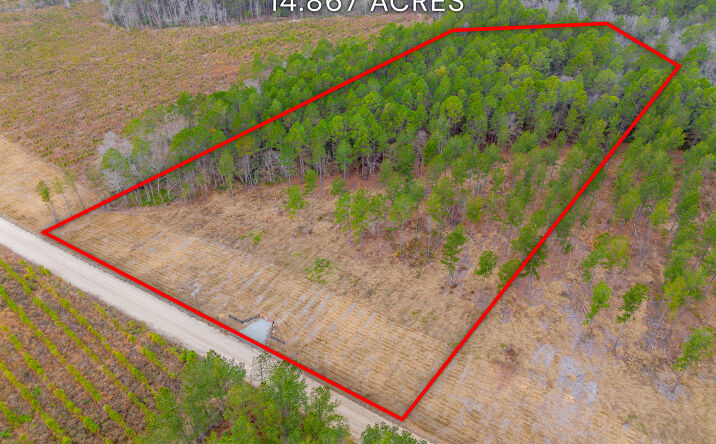 Pictures of Land property located at Lanes Church Rd, Brooklet, GA 30415 for sales - image #1