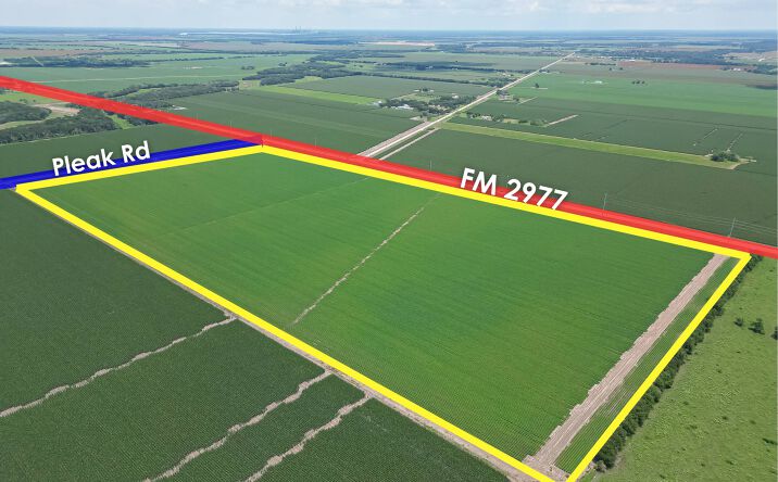 Pictures of Land property located at Pleak Rd & FM 2977, Richmond TX, Richmond, TX 77469 for sales - image #1