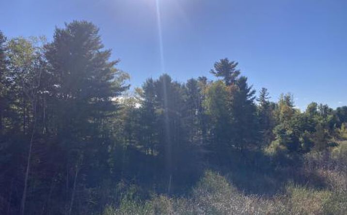 Pictures of Land property located at 00 Rugar Park Way, Plattsburgh West, NY 12901 for sales - image #1