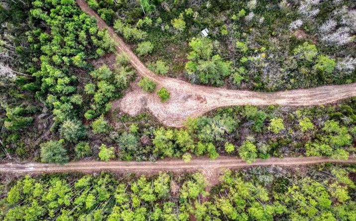 Pictures of Land property located at Vacant SW Hike Lake Rd, Madison, FL 32340 for sales - image #1