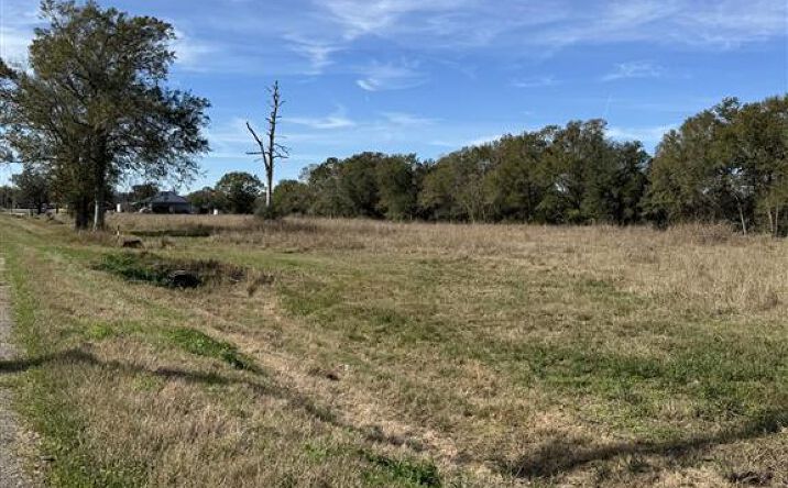 Pictures of Land property located at Hwy 90, Iowa, LA 70647 for sales - image #1