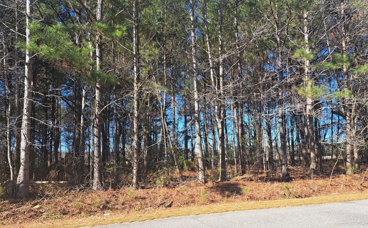 Pictures of Land, Multifamily property located at 1 Antioch Road, Santee, SC 29142 for sales - image #1