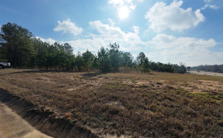 Pictures of Land property located at 1405 HWY 59 S, Linden, TX 75563 for sales - image #1