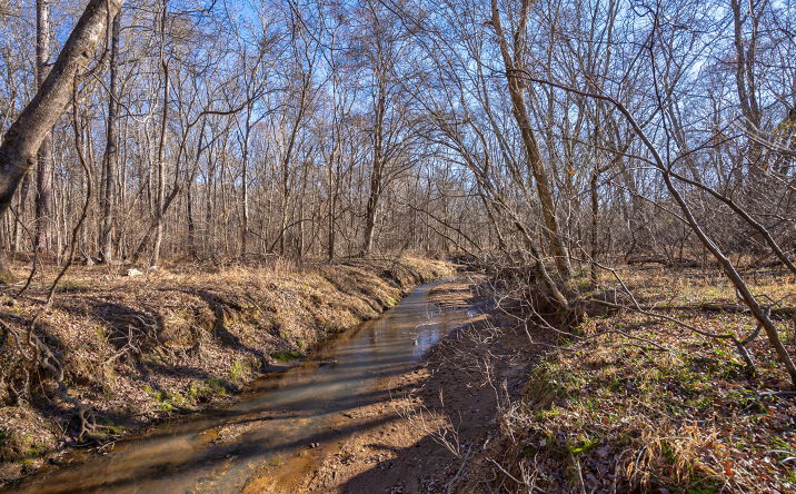 Pictures of Land property located at 0 Lower Harmony Road, Eatonton, GA 31024 for sales - image #1