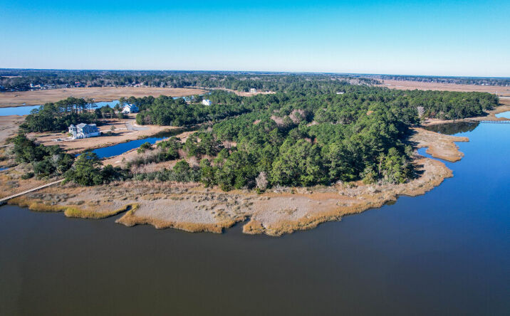 Pictures of Land property located at 46 Laughing Gull Hideaway Dr, Richmond Hill, GA 31324 for sales - image #1