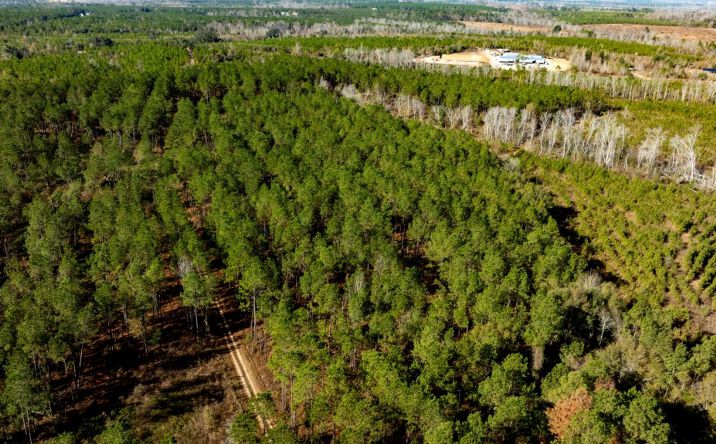 Pictures of Land property located at Hwy 19 S & Warm Spring Rd., Glenwood, GA 30428 for sales - image #1