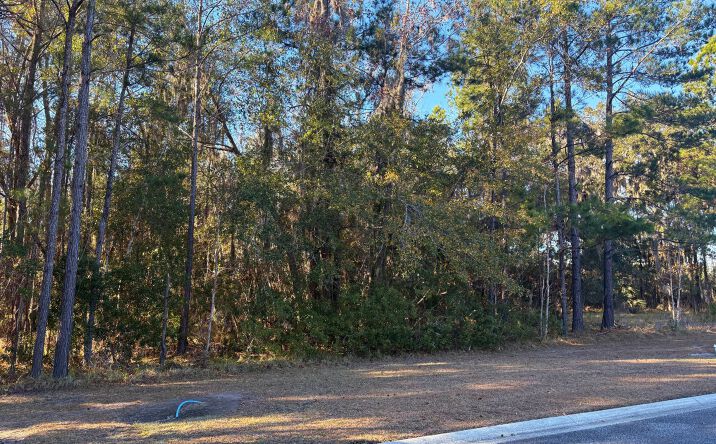 Pictures of Land property located at Sanctuary Harbour Trl, Waverly, GA 31565 for sales - image #1