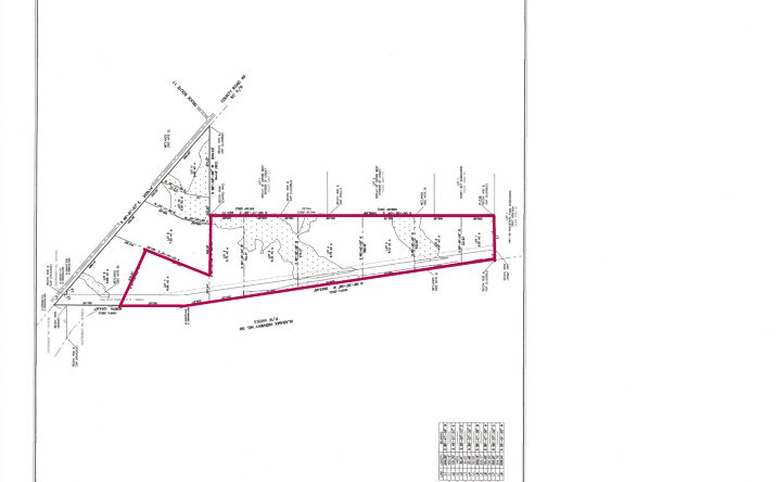 Pictures of Land property located at Highway 59, Loxley, AL 36551 for sales - image #1