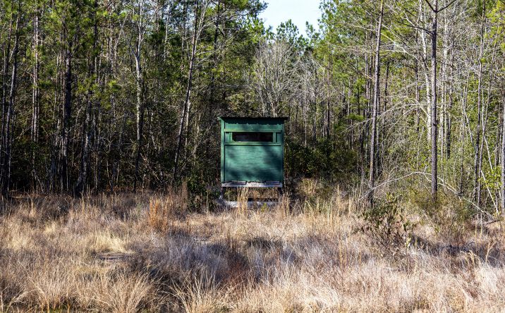 Pictures of Land property located at 1865 TX-326, Kountze, TX 77625 for sales - image #1