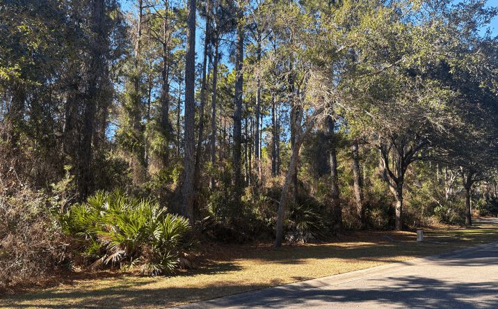 Pictures of Land property located at Gamefish Ln, St. Marys, GA 31558 for sales - image #1