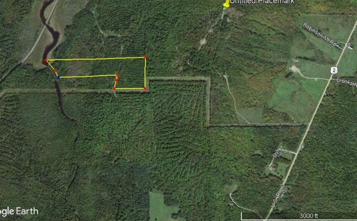 Pictures of Land property located at Merriman Rd, Island Falls, ME 04747 for sales - image #1