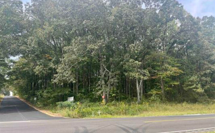 Pictures of Land property located at 00 Hwy 431, Roanoke, AL 36274 for sales - image #1