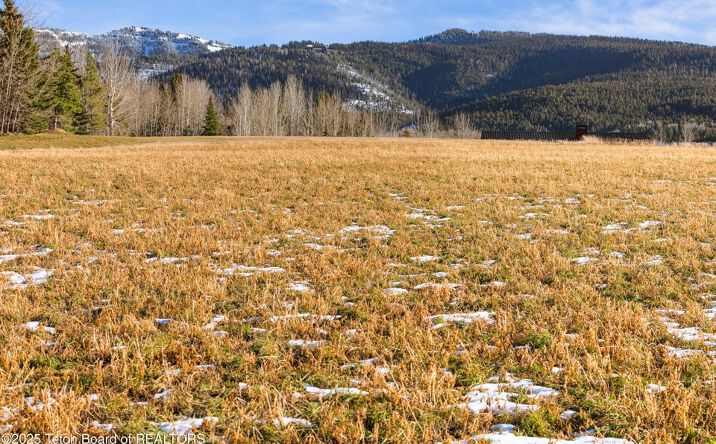 Pictures of Land property located at 125 Yellow Rose Dr, Alta, WY 83414 for sales - image #1