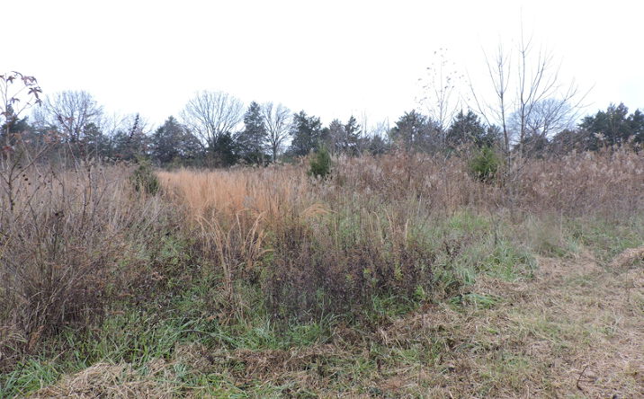 Pictures of Land property located at Off Hwy 378, Bates, AR 72958 for sales - image #1