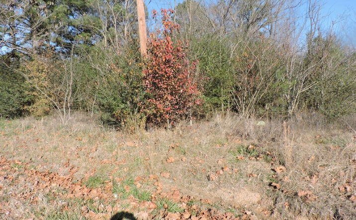 Pictures of Land property located at 952 N Main St, Bates, AR 72958 for sales - image #1