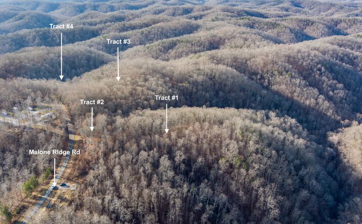 Pictures of Land property located at 525 Malone Ridge Rd, Albany, KY 42602 for sales - image #1