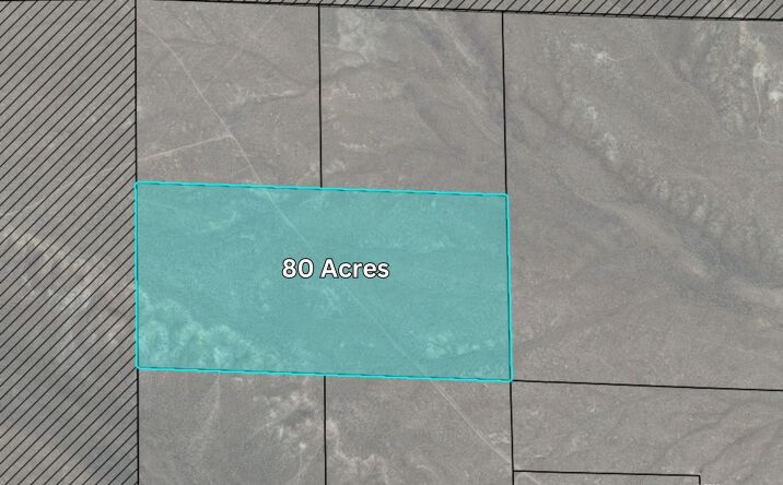 Pictures of Land property located at 6-33D-004 T36N R56E S11 Parcel, Ryndon, NV 89801 for sales - image #1