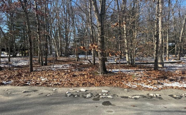 Pictures of Land property located at 725 Youngs Avenue, Southold, NY 11952 for sales - image #1