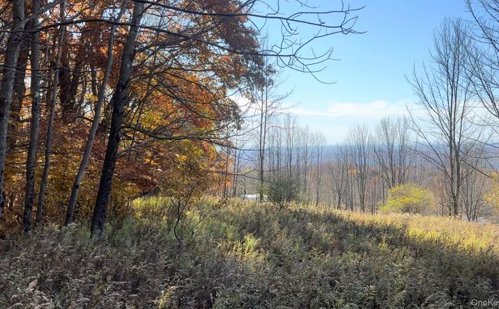 Pictures of Land property located at Chaffee Road, Liberty, NY 12754 for sales - image #1