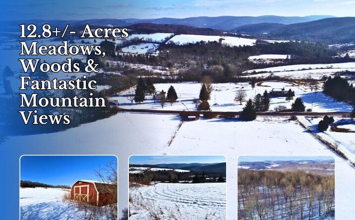 Pictures of Land property located at Lot 41-42 Hamden Hill Road, Hamden, NY 13782 for sales - image #1