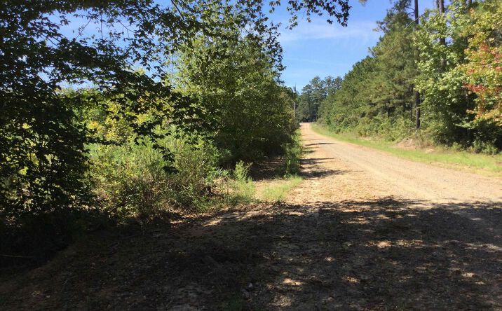 Pictures of Land property located at Highway 463 Highway, Leesville, LA 71446 for sales - image #1