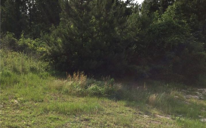 Pictures of Land property located at 0 Alexandria Hwy, Leesville, LA 71446 for sales - image #1