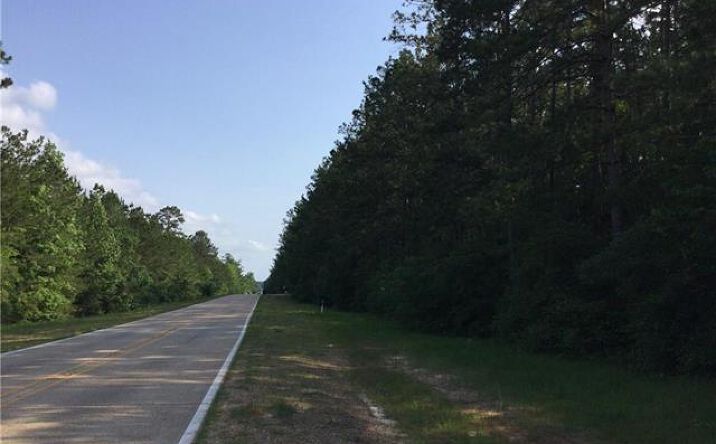 Pictures of Land property located at 0 Small Oaks Road, Leesville, LA 71446 for sales - image #1