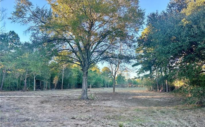 Pictures of Land property located at 0 Tate Rd, Kinder, LA 70648 for sales - image #1