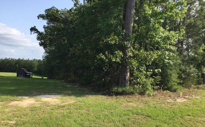 Pictures of Land property located at 0 Stanley Road, Leesville, LA 71446 for sales - image #1
