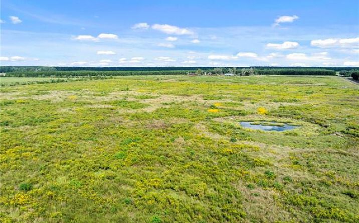 Pictures of Land property located at 0 Hauser Road, DeRidder, LA 70652 for sales - image #1
