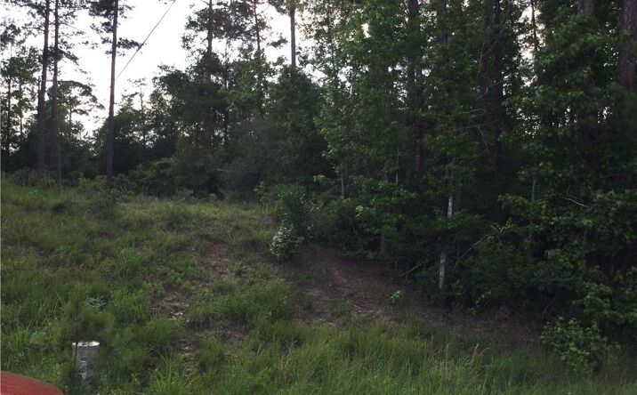 Pictures of Land property located at 0 Small Oaks Road, Leesville, LA 71446 for sales - image #1