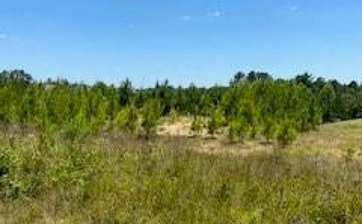 Pictures of Land property located at 0 Stanley Rd, Leesville, LA 71446 for sales - image #1