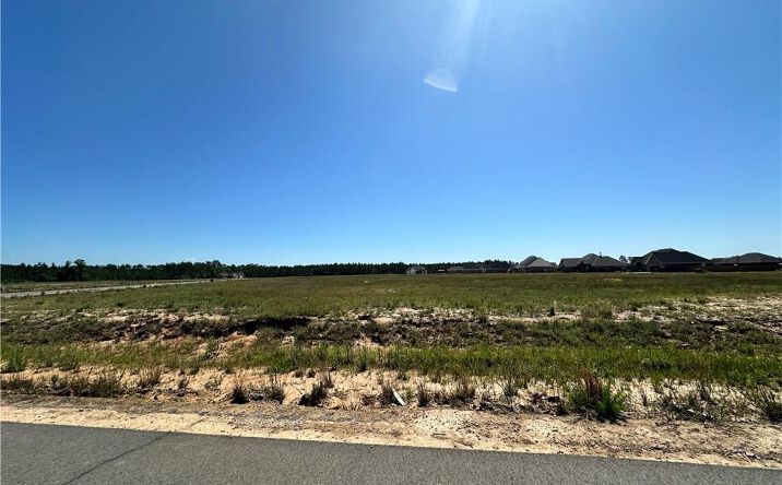Pictures of Land property located at Daffodil Dr, Ragley, LA 70657 for sales - image #1