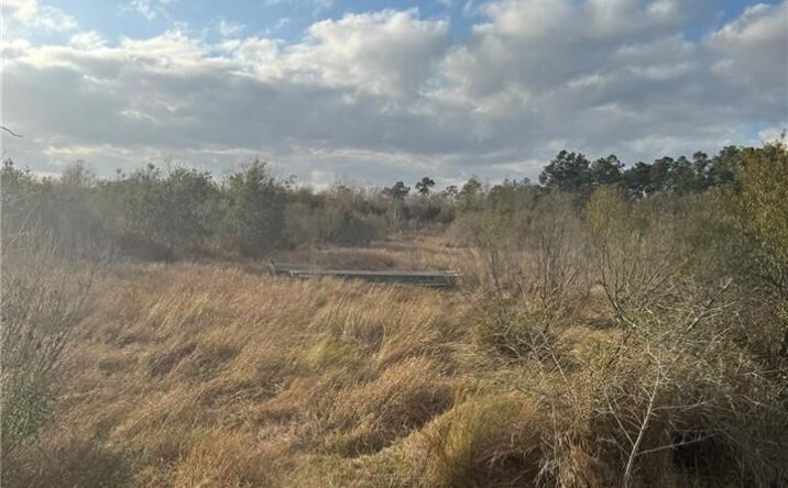 Pictures of Land property located at 7343 Olsen Rd, Sulphur, LA 70665 for sales - image #1