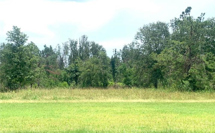 Pictures of Land property located at Ridgeway Dr, Ragley, LA 70657 for sales - image #1