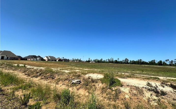 Pictures of Land property located at Calla Lily Dr, Ragley, LA 70657 for sales - image #1