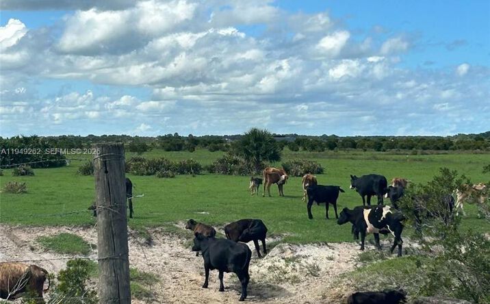 Pictures of Land property located at 27325 NW 72, Okeechobee, FL 34972 for sales - image #1