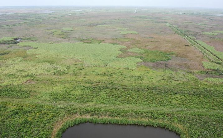 Pictures of Land property located at 0 Highway 82 Highway, Cameron, LA 70631 for sales - image #1