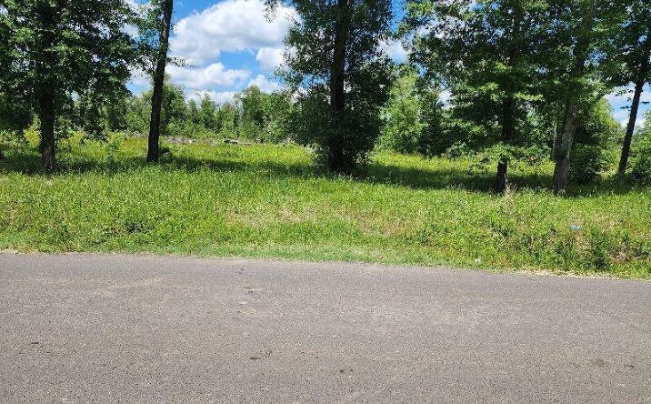 Pictures of Land property located at 380 Andrew Mouhot Rd, Ragley, LA 70657 for sales - image #1