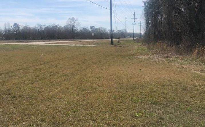 Pictures of Land property located at Highway 165, Oberlin, LA 70655 for sales - image #1