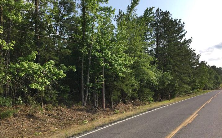 Pictures of Land property located at 0 Slagle Road, Leesville, LA 71446 for sales - image #1